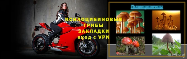 ПСИЛОЦИБИНОВЫЕ ГРИБЫ Армянск