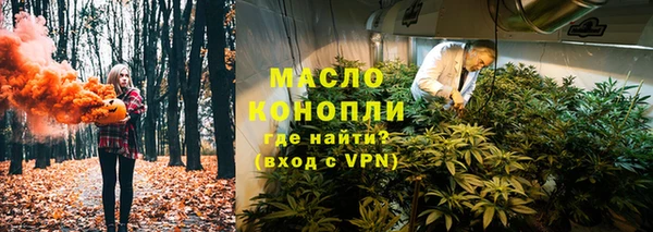 винт Новозыбков