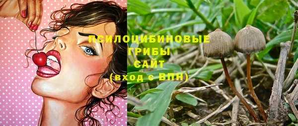 ПСИЛОЦИБИНОВЫЕ ГРИБЫ Армянск