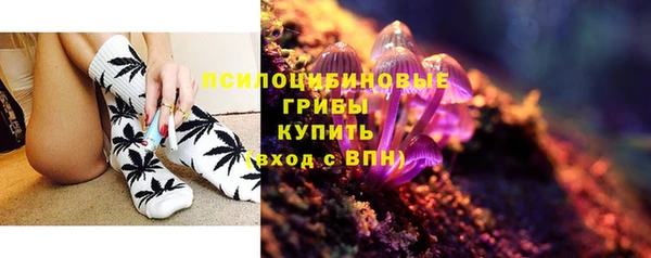 бутират Арсеньев