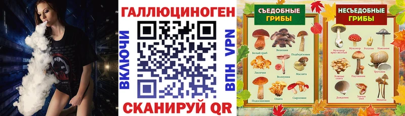 Псилоцибиновые грибы Magic Shrooms  продажа наркотиков  Николаевск 