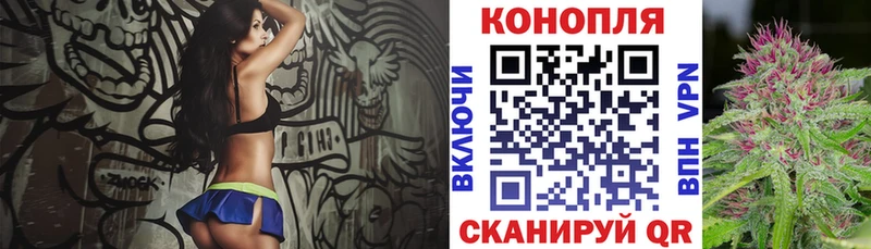 Канабис OG Kush  купить наркоту  ссылка на мегу зеркало  Николаевск 